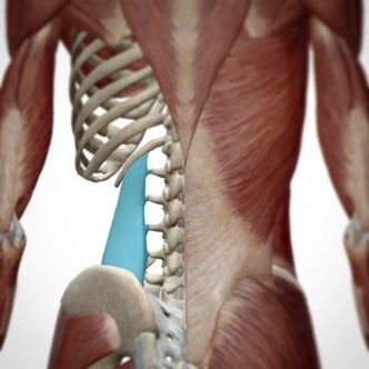 Sāpes var parādīties dažādās muguras daļās