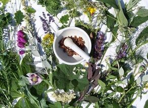 ārstniecības augi osteohondrozes ārstēšanai